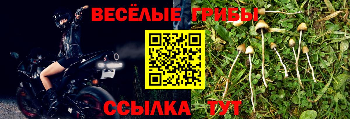 Псилоцибиновые грибы MAGIC MUSHROOMS  Вход с VPN  Бирск 